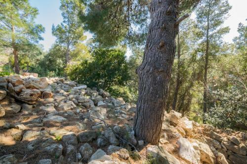 Apartamento Villa Ilios