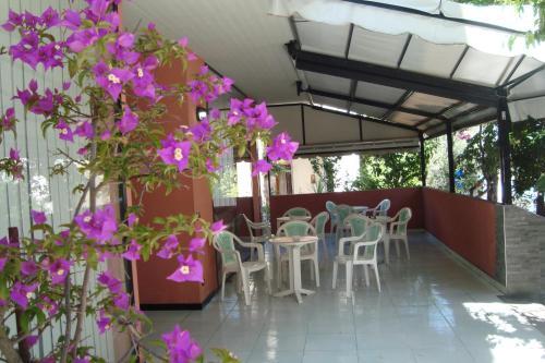 Hostal Nausicaa Hotel B&B