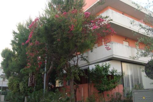Hostal Nausicaa Hotel B&B