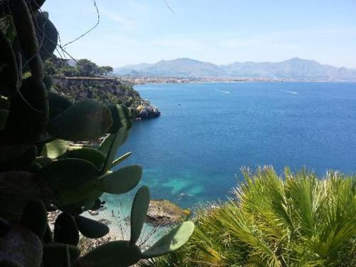 Apartamento Casa Nin�