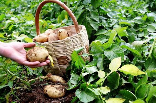 Agroturismo Il Raduno