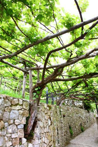 Agroturismo Il Raduno