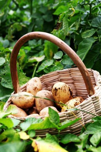 Agroturismo Il Raduno