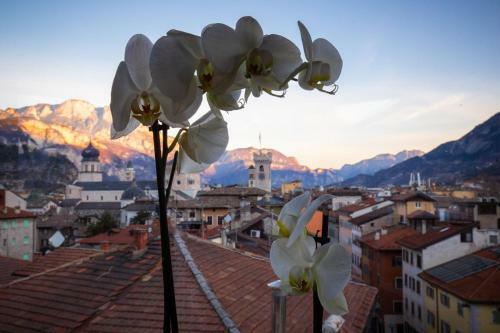 Hostal Torrione Trento