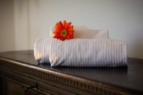 Hostal Torrione Trento