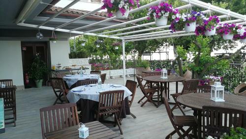 Hostal Mal� Guest House