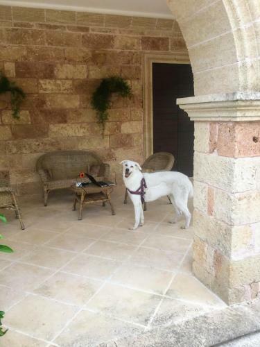 Bed & Breakfast Tenuta Il Grifo