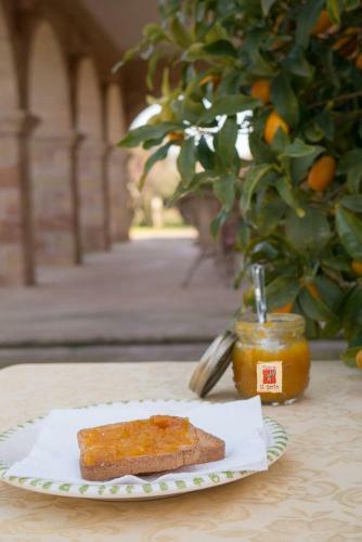 Bed & Breakfast Tenuta Il Grifo