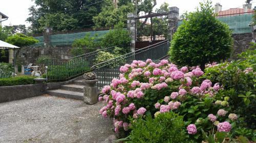 Bed & Breakfast Ai Pucci