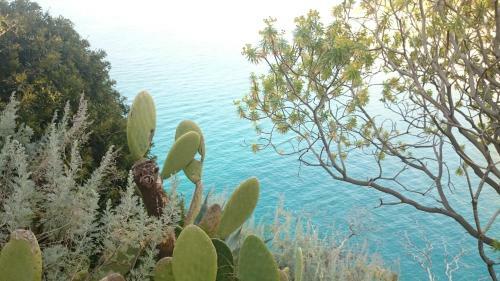 Apartamento Appartamento Tropea Dario
