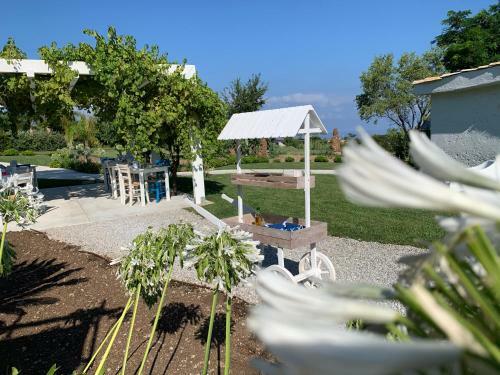 Hotel Il Borghetto Creative Resort