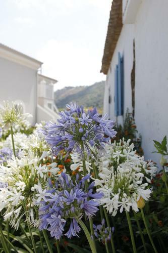 Hotel Il Borghetto Creative Resort