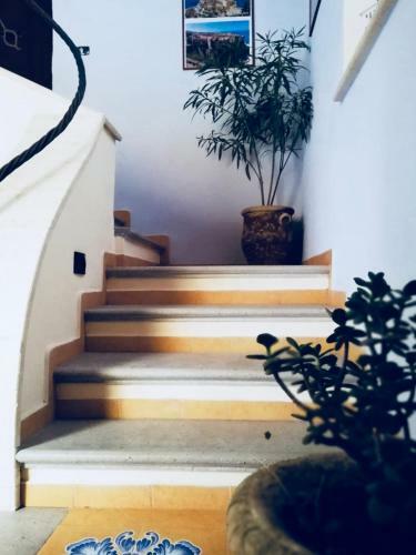 Bed & Breakfast A Casa Di Alessandro