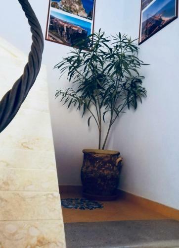 Bed & Breakfast A Casa Di Alessandro