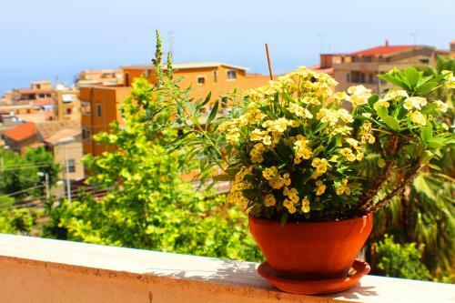 Apartamento Appartamenti Orchidea