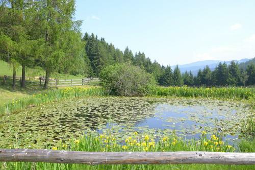 Posada Gasthof Zum L�wen-post
