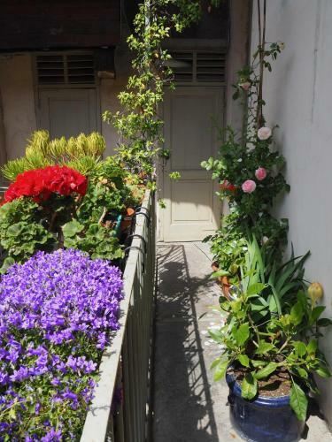 Apartamento At Home