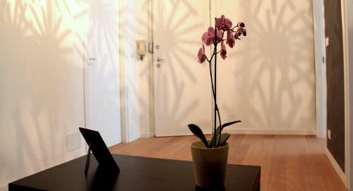 Yhome | Barletta Home Apartment