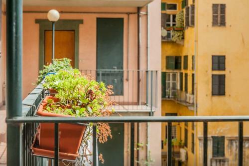 San Tommaso Apartment