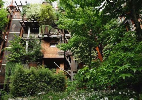 Apartamento 25 Verde Treehouse Suite