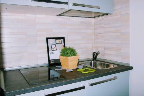 Apartamento Yhome | Gulli's Palace