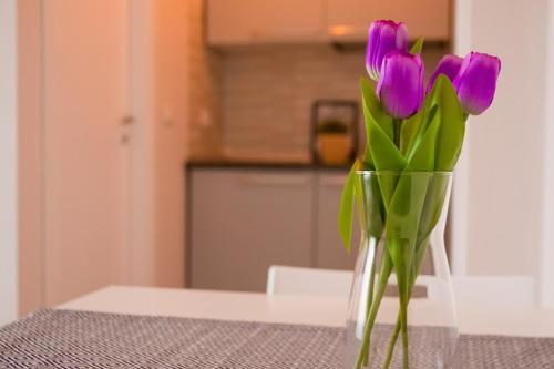 Apartamento Yhome | Gulli's Palace