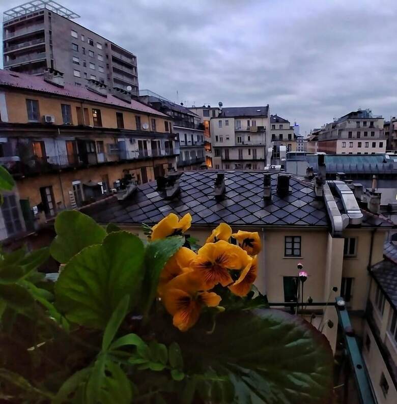 Attic Hostel Torino