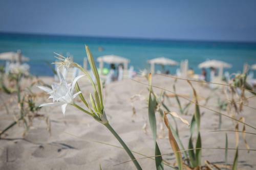 Riva Di Ugento Campeggio Resort