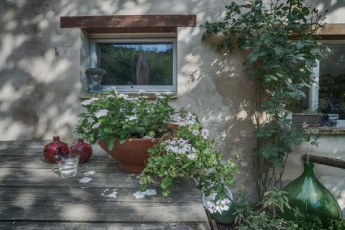 Agriturismo Pronto Campi