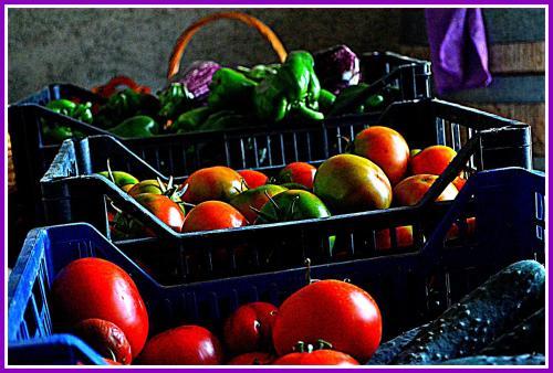 Agroturismo Agriturismo Il Tripesce