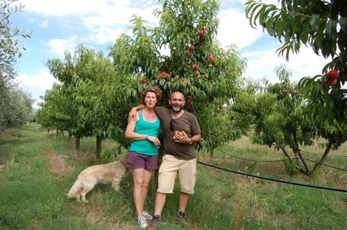Agroturismo Agriturismo Il Tripesce