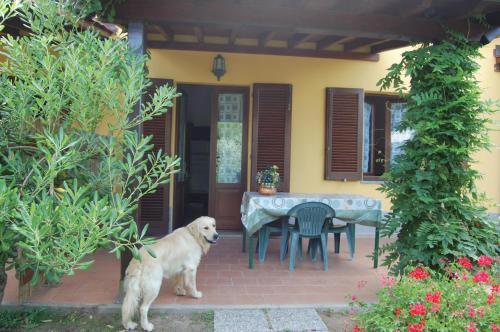 Agroturismo Agriturismo Il Tripesce