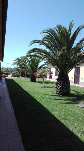 Agroturismo Agriturismo Il Tripesce