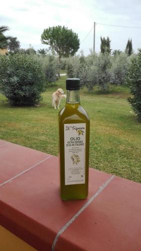 Agroturismo Agriturismo Il Tripesce