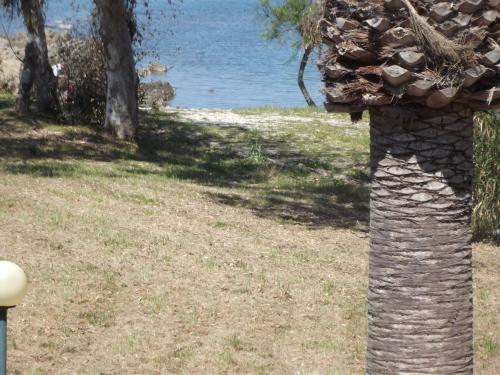 Apartamento Mare Blu