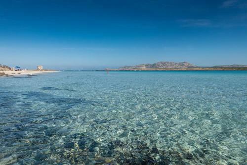 Apartments Stintino/insel Sardinien 23216
