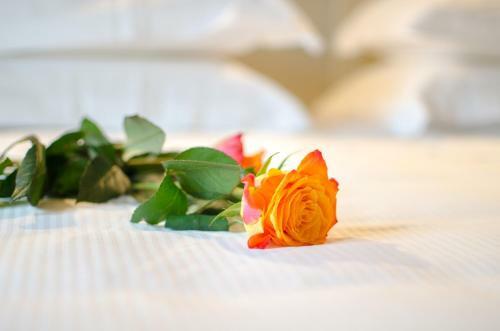 Bed & Breakfast Santacroce Guesthouse Abruzzo