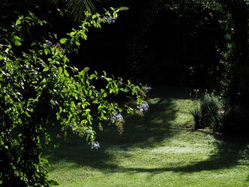 Villa Lantana A Talamone