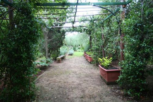 Villa Lantana A Talamone