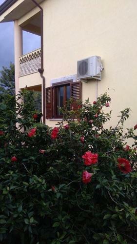 Villa Magnolia B&B