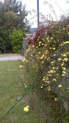 Villa Magnolia B&B