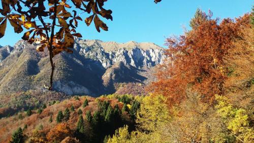 Apartamento Villa Paradiso Parolari