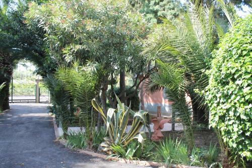 Bed & Breakfast Sea Garden Rooms