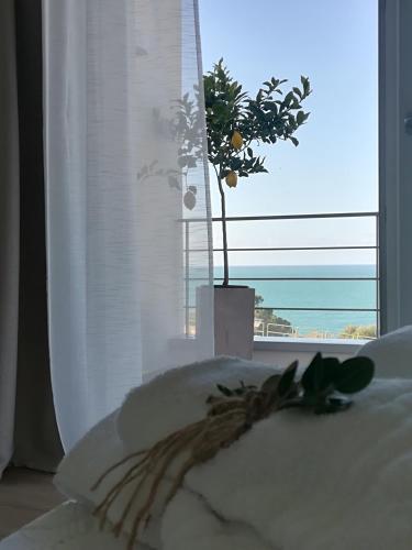 Zabb�ra B&B