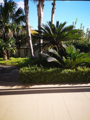 Bed & Breakfast Letto E Latte Sulla Via Del Mare