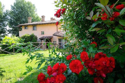 Agroturismo La Torriola