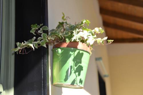 Casa Nina B&B