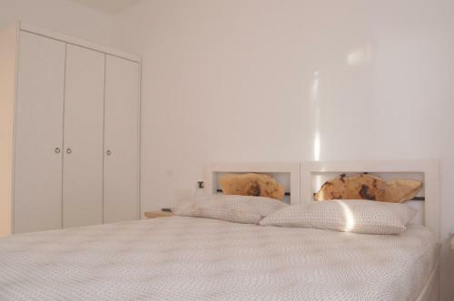 Radici House
