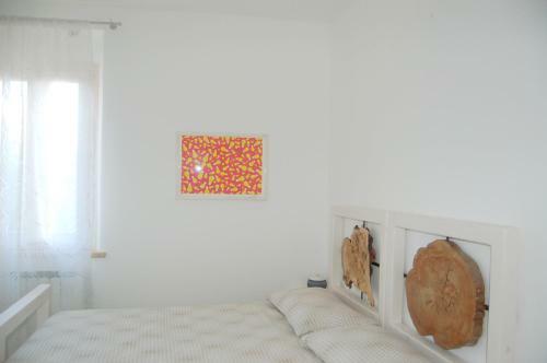 Radici House
