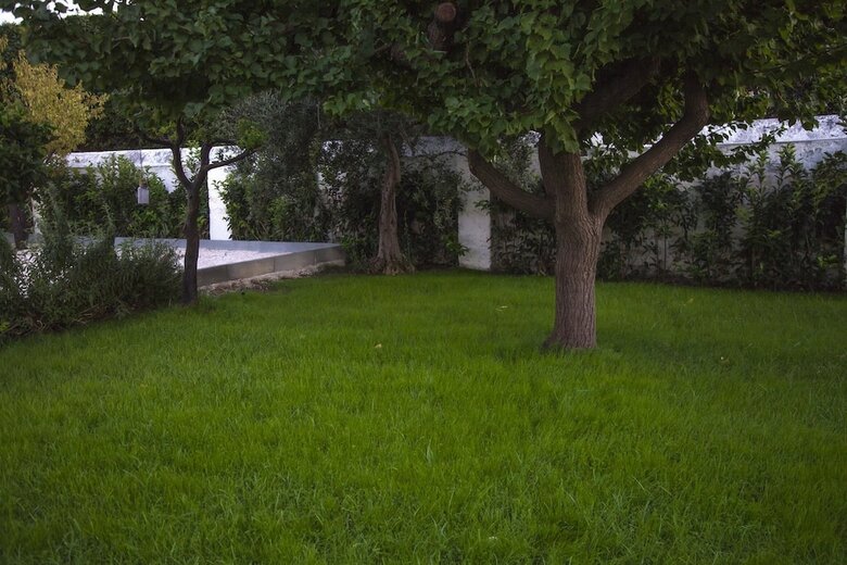 Bed & Breakfast Villa Adelaide Suite & Room